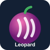 Leopard fruit icon